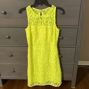 J Crew Collection lace dress